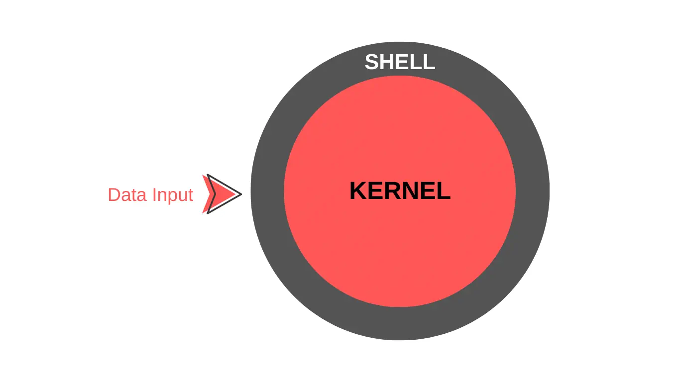 Shell Kernel Input